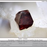 Anatase
fov 1.6 mm
(Autor: ploum)