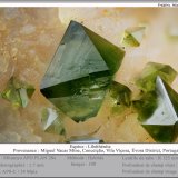 Libethenite
fov 1.7 mm
(Autor: ploum)
