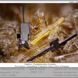 Pseudobrookite with Enstatite
fov 1.7 mm
(Autor: ploum)