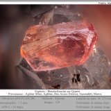 Roselite-Wendwilsonite Series on Quartz
fov 1.7 mm
(Autor: ploum)