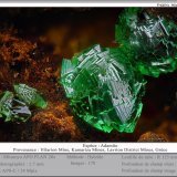 Adamite
fov 1.7 mm
(Autor: ploum)