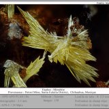 Mimetite
fov 3.5 mm
(Autor: ploum)