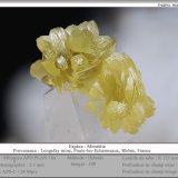 Mimetite
fov 3.5 mm
(Autor: ploum)