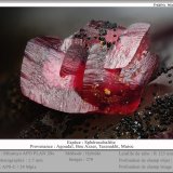 Spherocobaltite
fov 1.7 mm
(Autor: ploum)