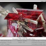 Erythrite
fov 7.0 mm
(Autor: ploum)