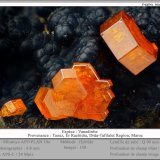 Vanadinite
fov 4.8 mm
(Autor: ploum)