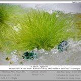 Agardite
fov 4.5 mm
(Autor: ploum)