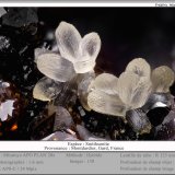 Smithsonite
fov 1.6 mm
(Autor: ploum)