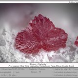 Variscite
fov 1.7 mm
(Autor: ploum)
