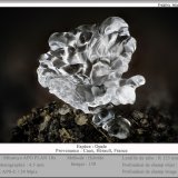 Opale
fov 4.5 mm
(Autor: ploum)