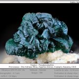 Pseudomalachite
fov 4.5 mm
(Autor: ploum)
