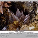 Rhodocrosite
fov 4.0 mm
(Autor: ploum)