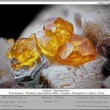 Spessartine
fov 9 mm
(Autor: ploum)