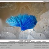 Camerolaïte
fov 2.5 mm
(Autor: ploum)
