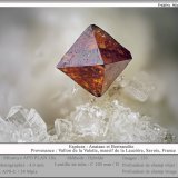Anatase
fov 4 mm
(Autor: ploum)