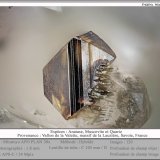 Anatase and Muscovite
fov 1.8 mm
(Autor: ploum)