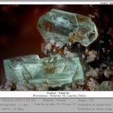 Adamite
fov 1.1 mm
(Autor: ploum)