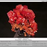 Vanadinite
fov 70 mm
(Autor: ploum)