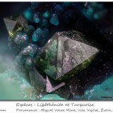 Libethenite and Turquoise
fov 1.5 mm
(Autor: ploum)
