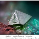 Libethenite and Turquoise
fov 1.5 mm
(Autor: ploum)