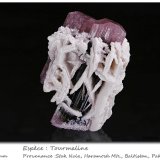 Tourmaline
fov 88 mm
(Autor: ploum)