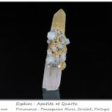 Fluorapatite on Quartz
fov 122 mm
(Autor: ploum)