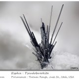 Pseudobrookite
fov 4.0 mm
(Autor: ploum)