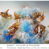 Plancheite and Fornacite
fov 1.7 mm
(Autor: ploum)