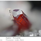Proustite
fov 2.5 mm
(Autor: ploum)