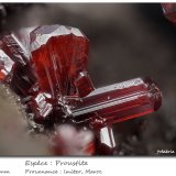 Proustite
fov 4.0 mm
(Autor: ploum)
