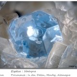 Haüyne
fov 3.5 mm
(Autor: ploum)