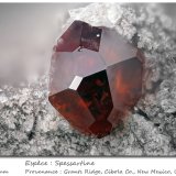 Spessartine
fov 2.7 mm
(Autor: ploum)