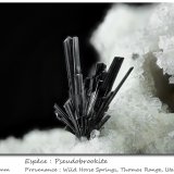 Pseudobrookite
fov 5 mm
(Autor: ploum)