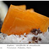 Wulfenite and Vanadinite
fov 11 mm
(Autor: ploum)