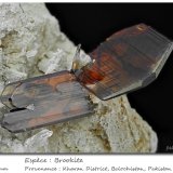 Brookite
fov 18 mm
(Autor: ploum)