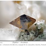 Anatase
fov 4.1 mm
(Autor: ploum)