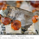 Spessartine on Quartz
fov 23 mm
(Autor: ploum)