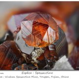 Spessartine
fov 11 mm
(Autor: ploum)