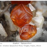 Spessartine
fov 11 mm
(Autor: ploum)