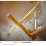 Vanadinite
fov 2.6 mm
(Autor: ploum)