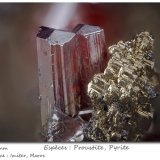 Proustite with Pyrite
fov 2.3 mm
(Autor: ploum)