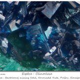 Clinoclase
fov 0.9 mm
(Autor: ploum)