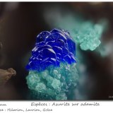 Azurite on Adamite
fov 2.0 mm
(Autor: ploum)