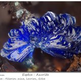 Azurite
fov 2.5 mm
(Autor: ploum)