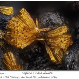 Cacoxenite
fov 1 mm
(Autor: ploum)