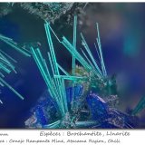 Brochantite and Linarite
fov 2 mm
(Autor: ploum)
