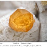 Spessartine
fov 8 mm
(Autor: ploum)
