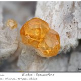 Spessartine
fov 8.5 mm
(Autor: ploum)