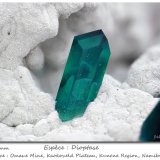 Dioptase
fov 4 mm
(Autor: ploum)
