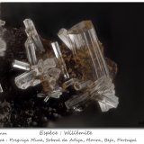 Willemite
fov 1.7 mm
(Autor: ploum)